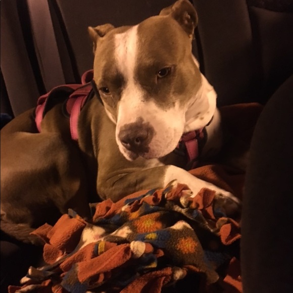 Some info - Picture 6 of 6